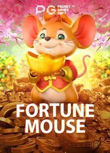 HD camera များဖြင့် တိုက်ရိုက် streaming ပြုလုပ်နေသော live casino studio ခန်း
